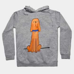 Dozy dog Hoodie